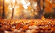 秋の魔法：公園の紅葉が描く幻想的な風景,The Magic of Autumn: Fantastic Landscapes Created by the Park's Autumn Foliage,Generative AI
