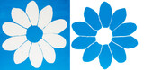 Fototapeta Do akwarium - Two flowers in light blue and white colours painting