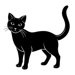  Cat vector illustration. Cat silhouette 