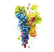 Weintrauben Bunt Frisch Obst Trauben Wasserfarben