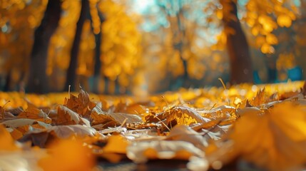 Poster - A bunch of leaves laying on the ground. Suitable for nature and autumn concepts