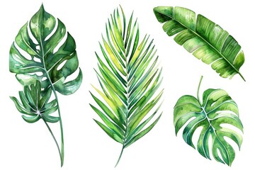 Poster - Beautiful watercolor painting of tropical leaves, perfect for nature-themed designs