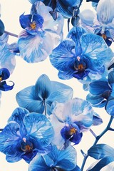 Poster - Close up shot of a bunch of blue flowers, perfect for floral backgrounds