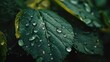 A detailed image of a leaf covered in water droplets. Suitable for nature and environmental themes