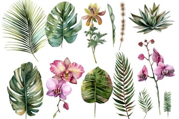 Wall Mural - Vibrant watercolor illustration of various tropical plants and flowers. Perfect for botanical designs and nature-themed projects