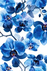 Poster - Beautiful blue flowers on a plain white background, perfect for various design projects