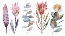 Various Colored Flowers On A Clean White Backdrop, Suitable For Various Design Projects