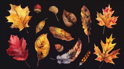 Poster - Vibrant assortment of leaves on a dark backdrop. Ideal for fall-themed designs