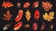 Vibrant autumn leaves on a dark backdrop. Suitable for seasonal designs
