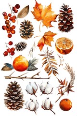 Poster - Various types of leaves and fruits, suitable for multiple uses
