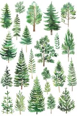 Poster - A collection of watercolor trees on a white background. Suitable for various design projects