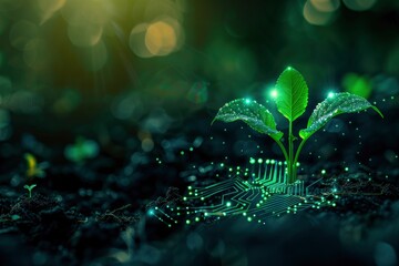  Abstract digital green plant with electronic circuit board and energy sun light concept growing in soil
