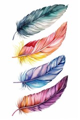Poster - Colorful feathers on a white background, suitable for various design projects
