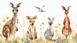 Group of kangaroos grazing in a peaceful field. Ideal for nature and wildlife concepts
