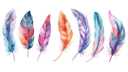 Poster - Colorful watercolor feathers on a plain white background. Suitable for various design projects