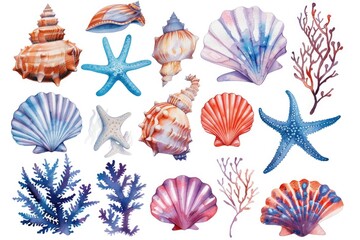 Aufkleber - Colorful watercolor seashells and starfish set, suitable for beach themed designs