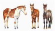 Group of three horses standing together. Ideal for animal lovers