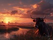 A cow is laying in a field with a sunset in the background. The cow is surrounded by other cows, and the sky is filled with clouds