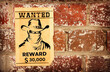 A poster of a wanted person with a $30,000 reward against a wall background