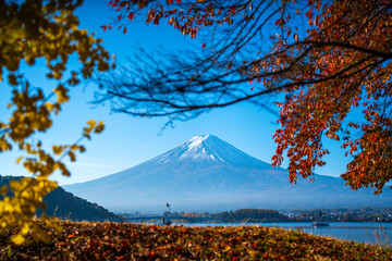 Wall Mural - experience the vibrant colors of autumn in japan: exploring the majestic forests and gardens of kyot