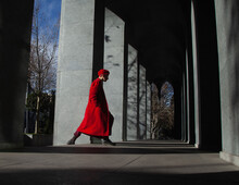 A Girl In The Red Coat 