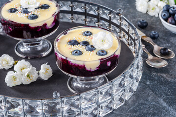 Canvas Print - Blueberry compote with white chocolate ganache and fresh blueberries