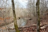 Fototapeta Niebo - The flowing creek deep in the winter forest.