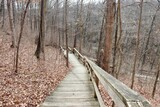 Fototapeta Niebo - The old wood boardwalk trail in the forest.