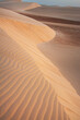 sand dunes. sand texture.