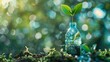 Young plant growing in a transparent bottle, concept of new life and eco-friendly practices.soft focus,defocus