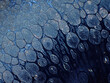 © ChaoShu Li/Stocksy - Textured background of microscopic glaze of Chinese ceramics tea cup