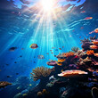 Title: Title: underwater scene with fishes underwater view of coral reef colorful fish water marine sea aquarium color

