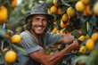 Smiling male happily picking fresh oranges from lush trees in a vibrant citrus grove