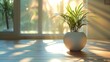 Sunlit Serenity: A Potted Plant Basks in Warmth, Symbolizing Peaceful Growth and Privacy. Concept Nature, Greenery, Outdoor Photography, Sunlight, Peaceful Growth