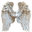 Detailed sculpture of angel wings isolated on white background