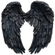 Pair of black angel wings spread open in a detailed and isolated display