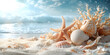 Starfish and shells on sandy beach with coral. Marine life summer background. Design for banner, greeting card, poster. Wide panoramic view with copy space