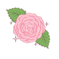 Rose flower PNG  6