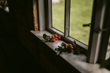 Rosehips On Window Sill At Home During Daytime