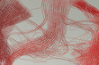 © Giada Canu/Stocksy - Dynamic Red Strands Abstract