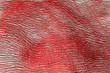 © Giada Canu/Stocksy - Abstract Red Scribble Texture