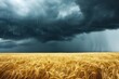 : A rainstorm approaching over a golden wheat field, dark clouds looming