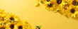 Yellow sunflowers border a frame on a yellow background with copy space. in a flat lay top view