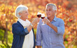 © peopleimages.com - Happy, senior couple and glasses toasting for wine tasting, sharing drink or memories together on vineyard. Romantic, retired man and excited woman on farm visit for celebration, date or love