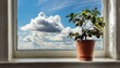 houseplant sits in a flowerpot on a windowsill, with a white wall behind it. Beyond, the sky is filled with fluffy clouds and a distant tree can be seen