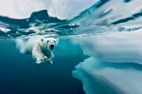 Graceful Polar Bear's Swim in Frigid Waters