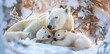 A mother polar bear is laying down with her two cubs