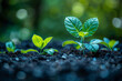 © WEBSTERIX - green energy