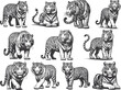 Tigers - wild animals, vector design of tigers isolated on a white background