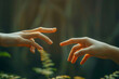 People, hands and nature with touch for support, care or human interaction in outdoor nature. Closeup of person or friends reaching for love, life or togetherness in wilderness, woods or forest